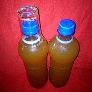 YEAST INFECTION HERBS